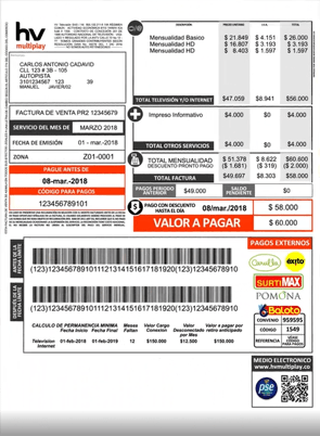Factura detallada HV Multiplay