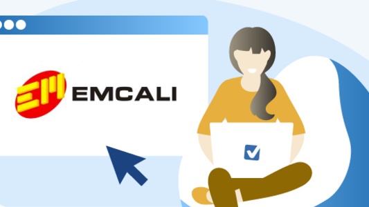 Portal web Emcali